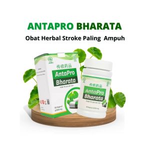 Antapro Bharata Obat Stroke Herbal Ampuh Original - Obat Stroke Berat & Ringan - Obat Kolesterol