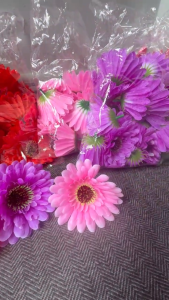 Bịch 20 bông cúc đồng tiền đủ màu kích thước 10cm trang trí