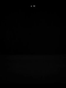 PGYTECH sports camera tripod selfie stick pocket3 bracket portable desktop camera handheld tripod live extension rod smartphone vlog dandelion micro single bracket