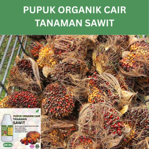 Pupuk Buah Sawit250 ML /Pupuk Booster Sawit Cepat Berbuah Lebat/Pupuk Cair Sawit