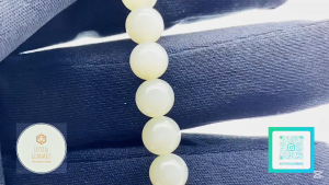 SG LOCAL - Certified Ice Clear Cat Hetian Jade Bracelet 和田玉冰晴猫手串