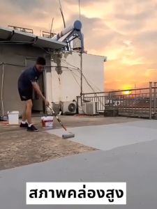 (กรุงเทพฯ)กาวกันน้ำ สีกันน้ำรั่วซึม กาวกันน้ำรั่วซึม แก้ปัญหาน้ํารั่วซึมของ ผนัง พื้น ระเบียง หลังคา บ่อปลา 1kg