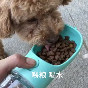 3 in 1 Pet Water Bottle Portable Leakproof Dog Cat Travel Cup Food Container Waste Bag Holder Outdoor Walking