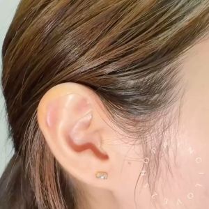 (E10)Stainless steel South Korea new earrings studs hook hoop drop men women钛钢 韩国新款耳钉 耳骨钉 舌钉 眉钉 酒窝钉 乳环 穿刺