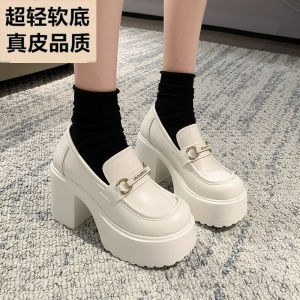 Trendy Mary Jane Womens Shoes with 10cm Ultra High Heels Thick Bottom Platform Chunky Heel Waterproof Fashion Single Shoes