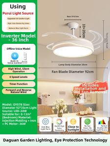 DGY | Invisible Household Ceiling Fan Light