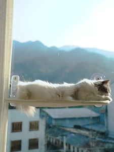 Cat Hammock Cat Climbing Frame Window Cat Bed Pet Cat Rack Suction Cup Hanging Bed Glass Hanging Sunbathing Artifact