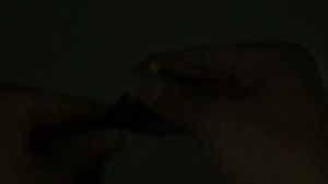 Lampu LED T10 Jelly Canbus Crystal: Solusi Penerangan Mobil Terbaik