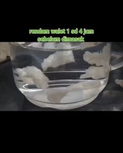 Sarang Burung Walet YENWO Asli Bersih Sudut Patahan Super 10gram