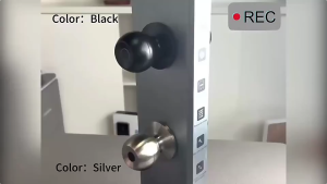 Khóa dấu vân tay hình cầu K10 thông minhÁp dụng cho văn phòng cửa phòng ngủ khóa cơ học cửa gỗ