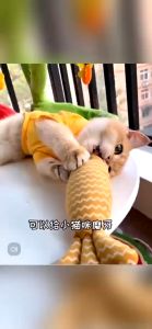 Cat Toy Mini Cute Soft Pillow Mainan Kucing Murah Fish Toy Cat Catnip Toy Mint Grass Rumput Kucing Cat Teaser Pet Toy