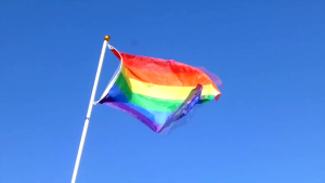 Polyester Classic Rainbow Flag 90x150cm for Community Support Rainbow Pride Flag LGBT Decoration
