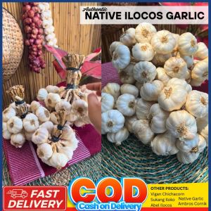 Ilocos Native Garlic Bawang Mabango grams Ilocos Garlic Big Size Native garlic of ilocos Ilocos Native Bawang Garlic