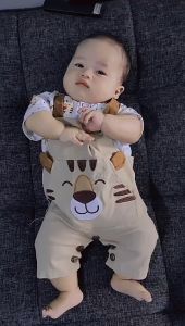 NEW ARRIVAL! CHINOS  TIGER by babybeb  baju overall pakaian anak laki laki cowo lucu murah terlaris cod berkualitas owen baby shop