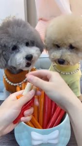Dog Treats Cat Treat Sausage Pet sausage cat dog sausage pet snack cat dog treats