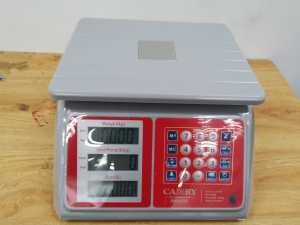 Camry 25kg Digital Commercial Price Scale Timbang Harga Digital Waterproof 防水电子秤 Rechargeable JC81W