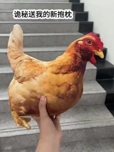 Cute 3D Realistic Hen Plush Toy Bedside Pillow