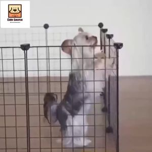 20pcs Pet Fence DIY Cat Fence Dog Fence Extra Large Space Pet Game Safety Fence 35cm * 35cm