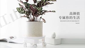 A large circular potted plant holder with a diameter of 45cm equipped with a wheeled pot support tray and a water receiving drawer