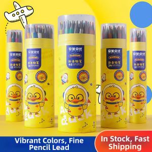 AINIBABY | Starter Drawing Colored Pencil