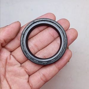 Seal DC 43 55 11 Nok Original Nok INB JEMBER