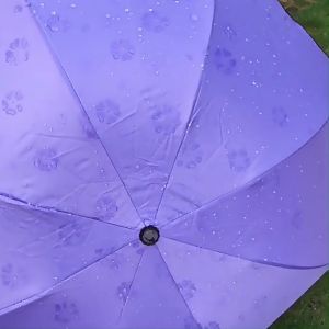 ร่มเปลี่ยนลายดอกไม้ ร่มพับ 3ตอน ร่ม สีสันหลากหลาย แข็งแรง ร่มกันแดด กันUV ร่มกันฝน ร่มกันน้ํา ร่มกันแดด