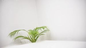 Tản nhiệt khí DEEPCOOL AK400 Digital/ AK400 WH Digital - Hàng Chính Hãng