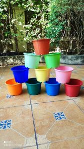 กระถาง 8 นิ้วคละสี แพ็ค 10 ใบ 10 สี สินค้าพร้อมจัดส่งทันที