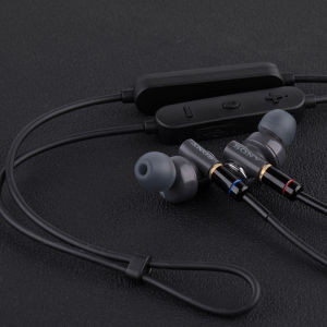 Dafa Original Xb55ap in-Ear Super Bass Earphone Mmcx Wired Fever with Microphone DIY Bluetooth Typec