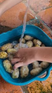 Nước cốt trái nhàu ngâm đường phèn đã lọc hạt chỉ lấy thịt nhàu và nước