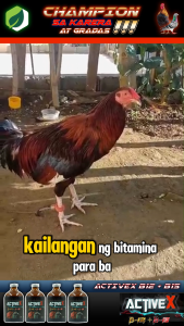 ACTIVEX B12+B15 5500mcg