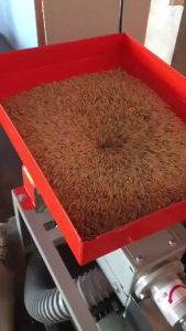 เครื่องสีข้าวขาว สิงห์สยาม รุ่น MS 200 RW-B