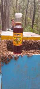 MADU MERAH FRESH 500gram Full nextar acasia Riau