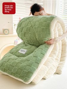 Gaorui | Warm Lambswool Winter Quilt 10 Jin