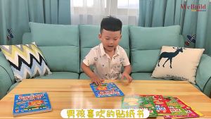 男孩喜欢的贴纸书（全套6册）3-8岁宝宝贴贴画 儿童左右脑启蒙认知贴纸书益智卡通专注力训练 Children Picture Sticker Book Buku Pelekat WeBuild