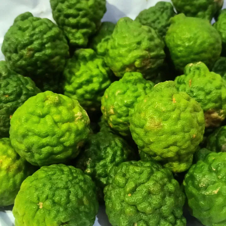 Jeruk%20Purut%20Jantan%201%20Kg%20-%20Image%205