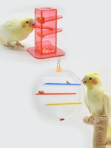 Xuanfeng Xiaojin Taihe Yangshang Kake Parrot Foraging Snack Box Fun Intelligence Training Toys Supplies Anti-Bite Hair