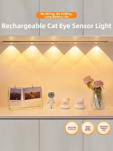SUIYI | Human Body Sensing LED Light Strip