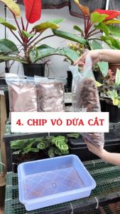 Túi 5L/10L Vỏ dừa cắt - Mụn xơ dừa đã xử lý - Giá thể trồng cây chất lượng cao | Độc quyền Family Garden