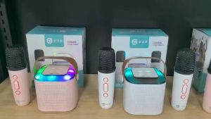 V2S KT3PRO Portable Karaoke Wireless Bluetooth Speaker with Dual Microphone Karaoke Stereo Mini KTV Speaker