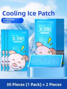 ZUYINBULUO | Cooling Ice Patches for Heat Relief