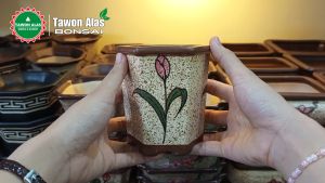 Pot Bonsai Keramik Segi Enam Tinggi