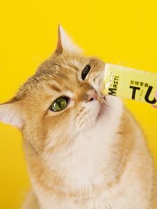 10Ppcs Masti Snack Kucing Camilan Kucing Creamy Treats Kucing Makanan Kucing