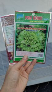 [Freeship Max] Hạt giống Xà lách xoăn sư tử hạt đen NO.8 Phú Nông gói 5 gram