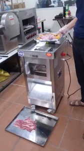 ( HÀNG CHÍNH HÃNG) Máy Thái Thịt Tươi Sống DQ 300 Công Nghiệp