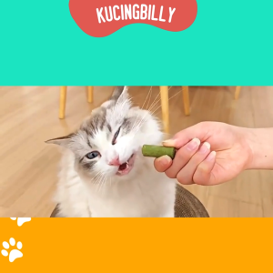 TAOTAO CAT GRASS 35gr snack kucing baik untuk pencernaan kucing