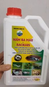 NẤM 3 MÀU BACILLUS: Ký Sinh Trừ Sâu Rầy Sinh Học - Can 2L