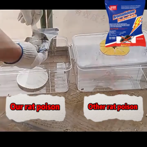 10 PCS XX Lason sa daga original Rat killer poison Rat poison killer food Rat poison killer fo