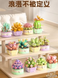 Đồ Chơi Lắp Ráp Mô Hình Hoa Cactus Mini Blox Birthday Gift Dành Cho Bé Gái Đồ Trang Trí Nhà Đồ Chơi Lắp Ráp Giáo Dục