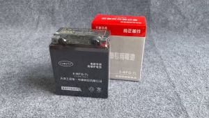 Bình Điện Suzuki Gz150a